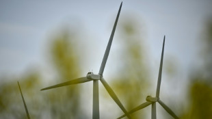 Lange Haftstrafen in Prozess um Betrug mit erfundenen Windparks in Niedersachsen