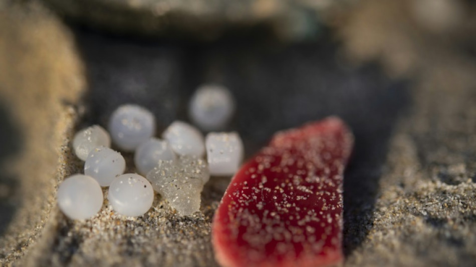 Les "larmes de sirène", une pollution omniprésente aux origines multiples