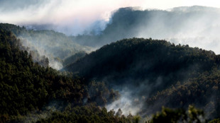 Gran incendio en el este de España arde sin control dos días después de declararse