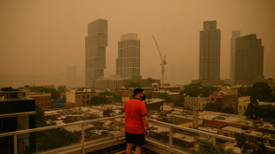 En Amérique du Nord, la pollution de l'air scrutée après les incendies