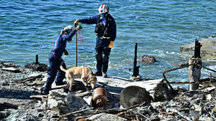 Como os cães rastreiam as vítimas dos incêndios em Los Angeles