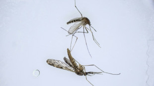 As climate warms, S. Korea fights new border threat: malarial mosquitoes