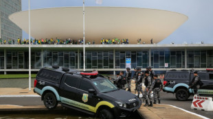 Brasilia riots: What we know 