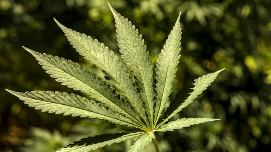 Kurzschluss an Cannabisplantage löst in Mönchengladbach Dachstuhlbrand aus