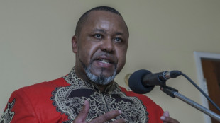 Malawis Vizepräsident bei Flugunglück ums Leben gekommen
