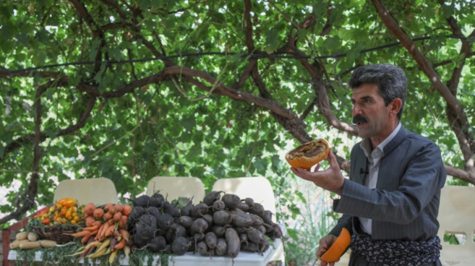 El kurdo iraquí que triunfa en redes con consejos de agricultura sostenible