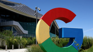 Google halts workplace diversity push