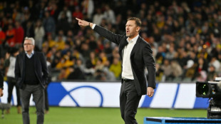 Socceroos have 'nothing to fear' from Japan