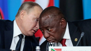 South Africa skates on diplomatic thin ice over Russia-Ukraine war