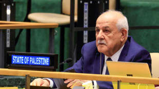 Leaders 'should respect' wishes of Palestinians to stay in Gaza: Palestinian UN envoy