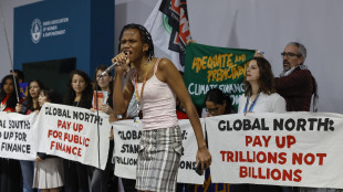 Cop29, accordo su aumento finanza climatica a 'trilioni'