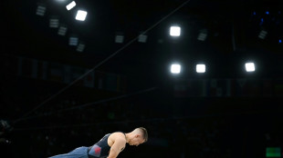 Britain's Whitlock negotiates 'crazy' first pommel horse Olympic hurdle