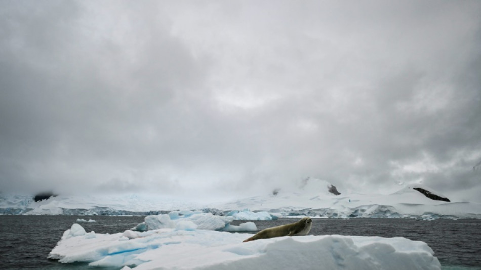 Deshielo récord de banquisa antártica impulsó tormentas australes, según estudio