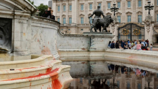 Animal rights activists sentenced for Buckingham Palace fountain protest