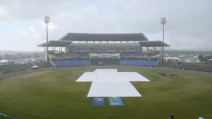 Rain delays England's must-win T20 World Cup game against Namibia