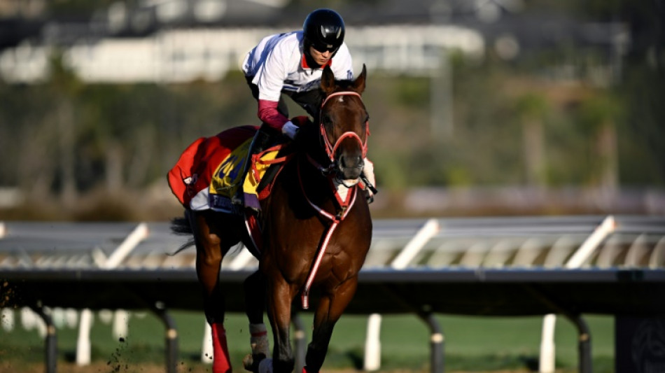 Japan's Forever Young wins $20mln Saudi Cup