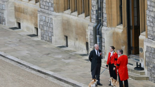 Los célebres perros de la reina Isabel II, protagonistas de una exposición en Londres