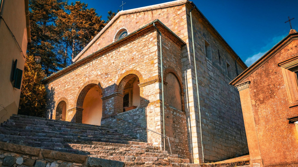 A Gerfalco torna il Festival delle Viole