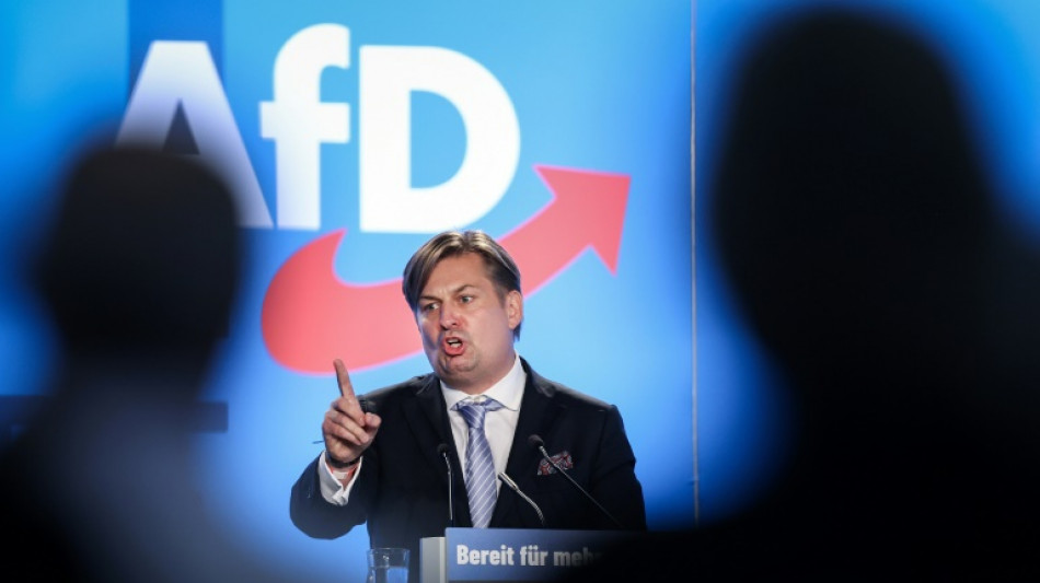 AfD setzt Europawahlversammlung in Magdeburg fort