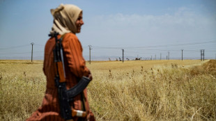 En Syrie, des volontaires kurdes gardent les champs de blé
