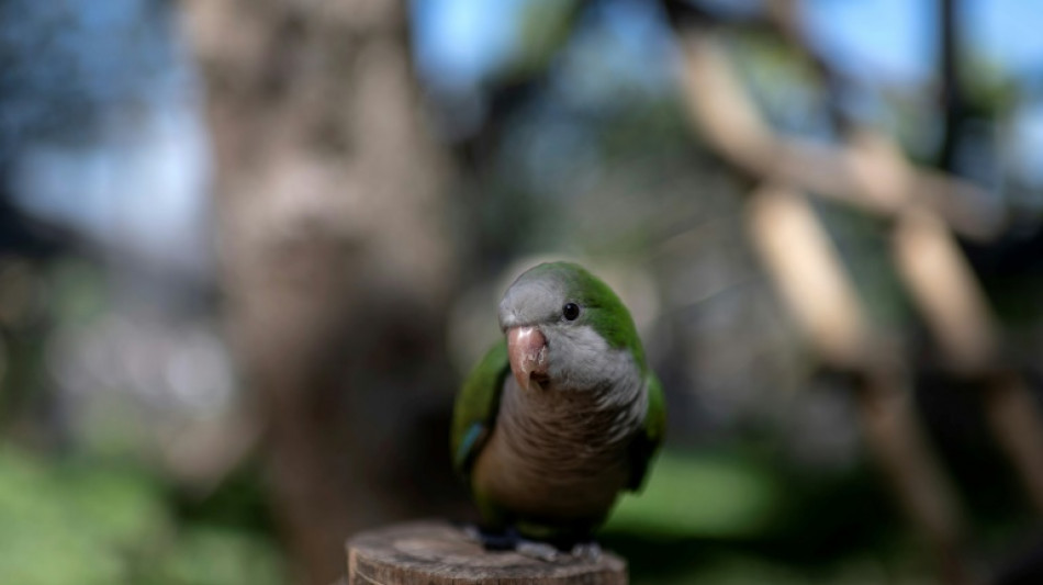 Proteger el 30% del planeta es solo el inicio para salvar la naturaleza