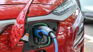 "Leasing social": déjà 80.000 pré-inscrits pour 25.000 voitures électriques 