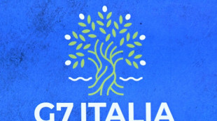 G7-Gipfel beginnt in Italien - Gespräche mit Selenskyj über Milliardenhilfen