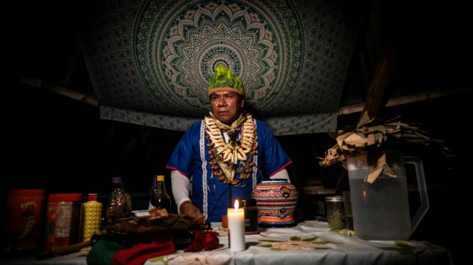 L'ayahuasca: un remède pour les chamans, une drogue pour le Mexique