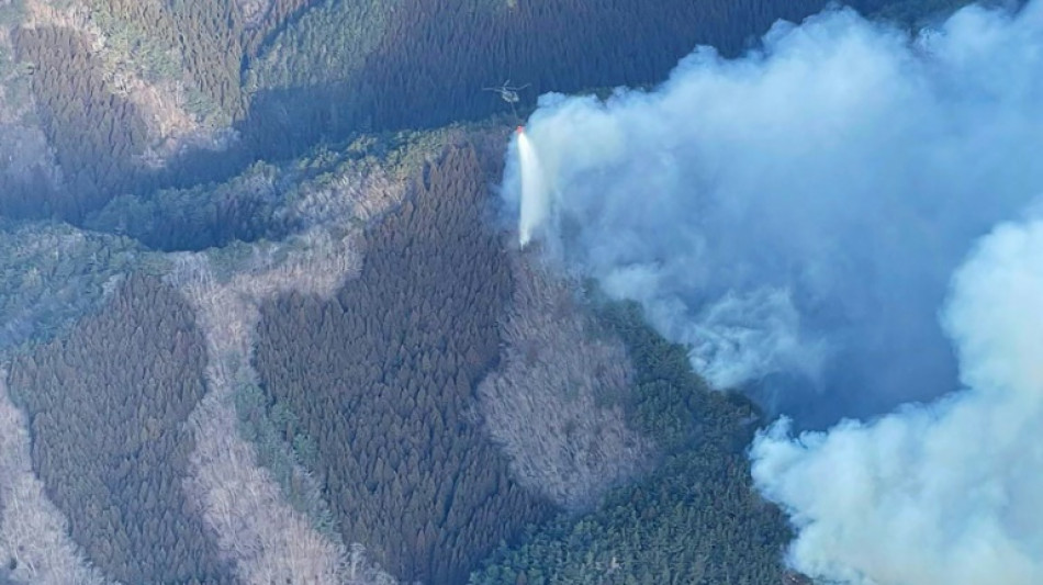 2000 Feuerwehrleute kämpfen gegen größten Waldbrand in Japan seit über 30 Jahren