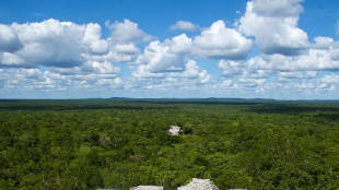 Scoperta nella foresta un'enorme città Maya in Messico