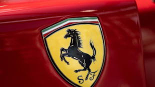 Ferrari reports another record-breaking year