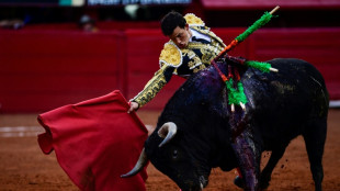 Corridas de toros: Ciudad de México cerca de abolir una tradición de 500 años