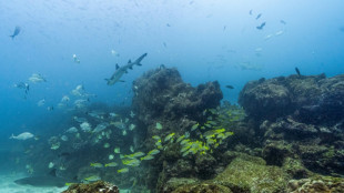 Proteger os oceanos 'é imperativo', alerta fórum na Costa Rica