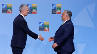 NATO's Stoltenberg meets Hungary's Orban amid tensions