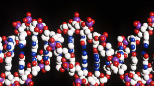 Donne più longeve per il risveglio del cromosoma X nel cervello