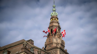 Le Danemark veut restreindre l'usage des drapeaux étrangers