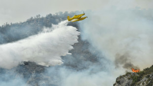 Los incendios ganan terreno en España en el último día de la ola de calor