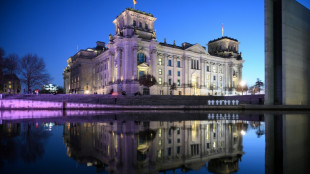 Urteil: AfD-Abgeordnete dürfen Mitglieder im FC Bundestag sein