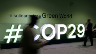 Climate-threatened nations stage protest at COP29 over contentious deal