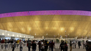 WM in Katar: Corona-Impfung für Fans nicht verpflichtend