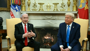 Trump dice que los palestinos "adorarían" irse de Gaza