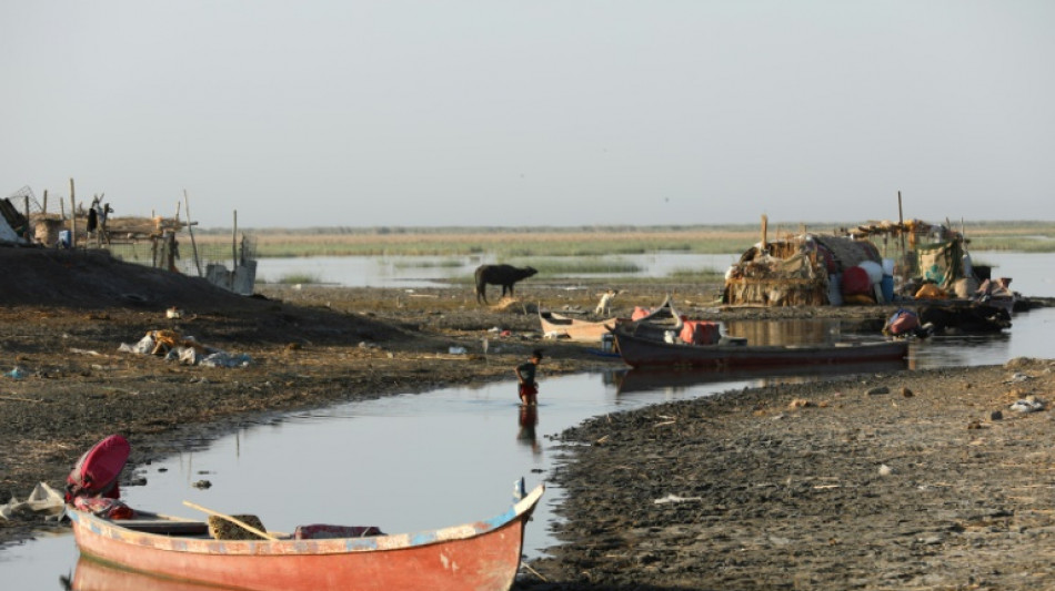 UN sounds alarm on heat threat to Iraq's fabled marshland