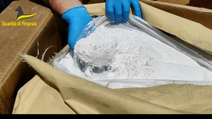 Sieben Tonnen Drogen-Grundstoffe aus China in Italien und Niederlanden beschlagnahmt