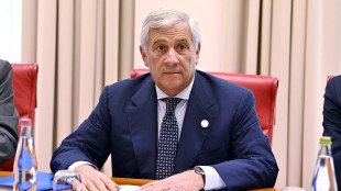 Tajani esprime 'sdegno governo' per rapporto Consiglio Ue