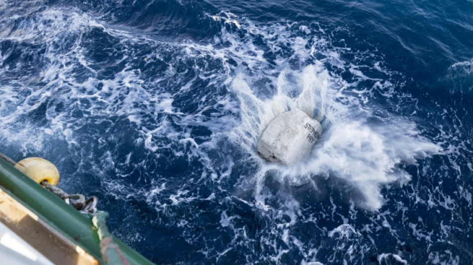 Contre une pêche "destructrice", Greenpeace largue des blocs de pierre en mer dans la Manche