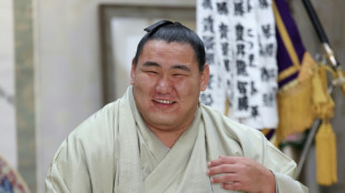 Sumo avoids chasm at top with grand master promotion