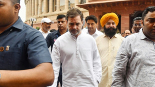 En Inde, l'opposant Rahul Gandhi renaît de ses cendres