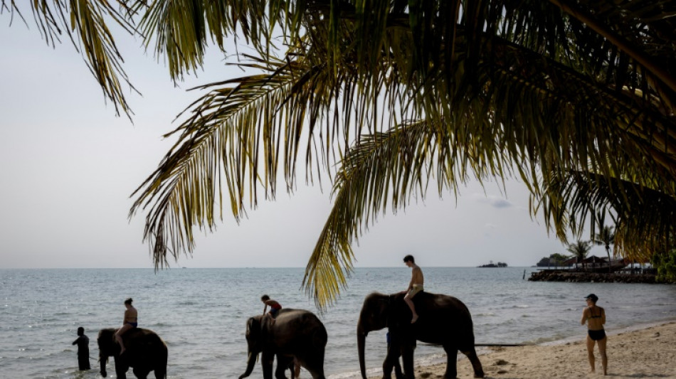 Un cuidador tailandés es acusado de negligencia tras la muerte de una turista española por un elefante