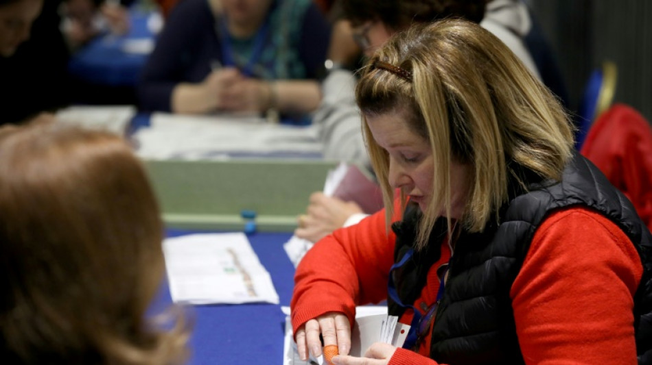 Greens, far-right among big losers in Irish vote