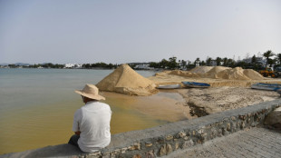 Tunisie: les plages, fleurons du tourisme, menacées par une érosion côtière accélérée